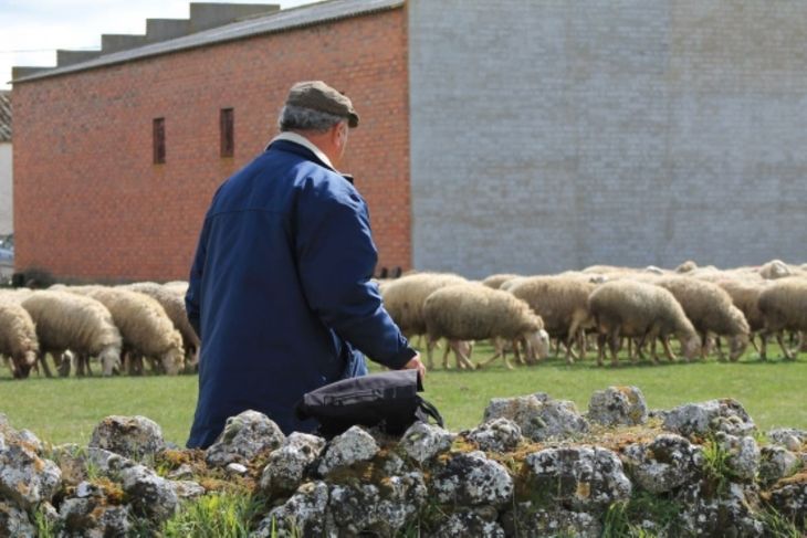 Trabajador jubilado y contrato de trabajo: qué dice la ley y cómo evitar conflictos laborales. Trabajador jubilado y contrato de trabajo: qué dice la ley y cómo evitar conflictos laborales.