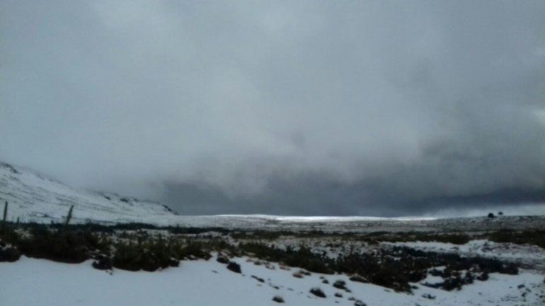 El paso Pino Hachado esta semana