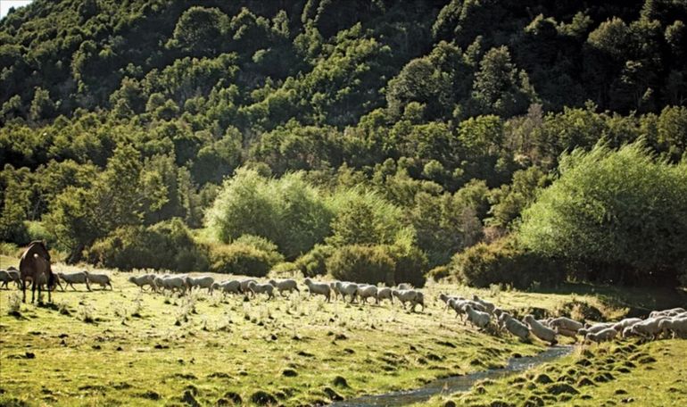 Uno de los hermosos paisajes de la parte final de la travesía, en el trayecto desde la localidad de Río Pico al Cajón Grande. Uno de los hermosos paisajes de la parte final de la travesía, en el trayecto desde la localidad de Río Pico al Cajón Grande.