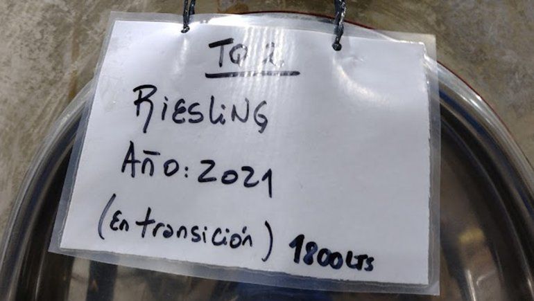 Día del Riesling: de qué se trata esta variedad de nombre difícil