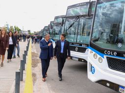 el sistema cole se amplia con 36 unidades nuevas y mas lineas nocturnas: cuales se suman el sistema cole se amplia con 36 unidades nuevas y mas lineas nocturnas: cuales se suman