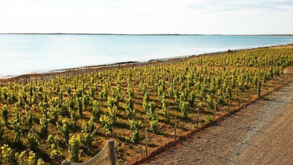 Una nueva frontera para el vino argentino: el mar