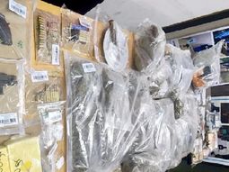 Histórica condena contra nueve miembros de una peligrosa banda narco Histórica condena contra nueve miembros de una peligrosa banda narco