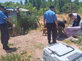 La Muni encontró al perro que atacó a la abuela del barrio Santa Genoveva