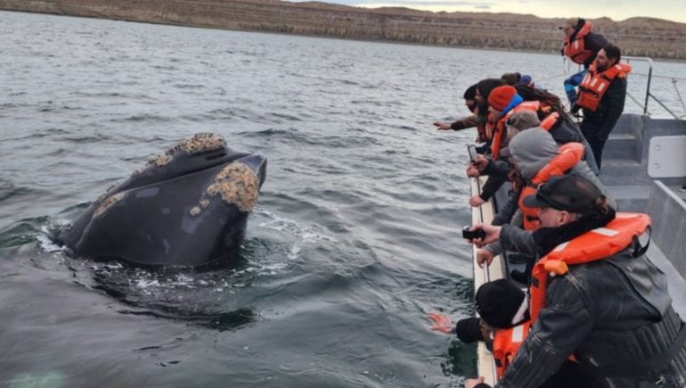 Los músicos de La Renga y sus colaboradores estuvieron el martes en Puerto Pirámides para hacer avistaje de ballenas.