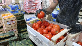 SFP Mercado Concetrador Tomates  (6).JPG