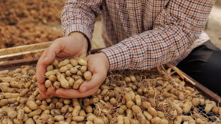 El complejo no depende de un único comprador. El complejo no depende de un único comprador.