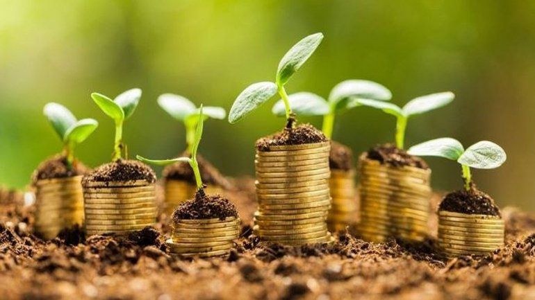 Zodiaco: ritual para atraer la abundancia en julio