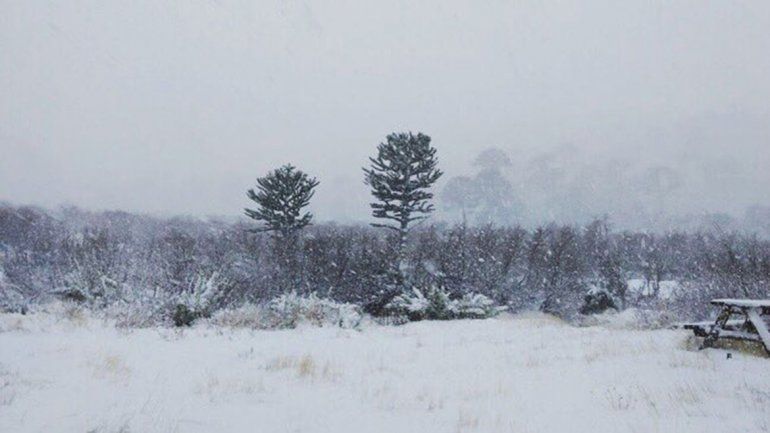 Emitieron un alerta por nevadas, viento y lluvias intensas