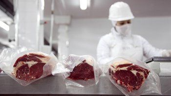 Mejora el panorama para el consumo de carne, pero se requieren de medidas económicas de fondo para una evolución más efectiva. Mejora el panorama para el consumo de carne, pero se requieren de medidas económicas de fondo para una evolución más efectiva.