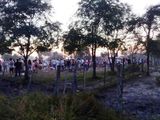 Intentaron coimear para que la fiesta siga: terminaron detenidos
