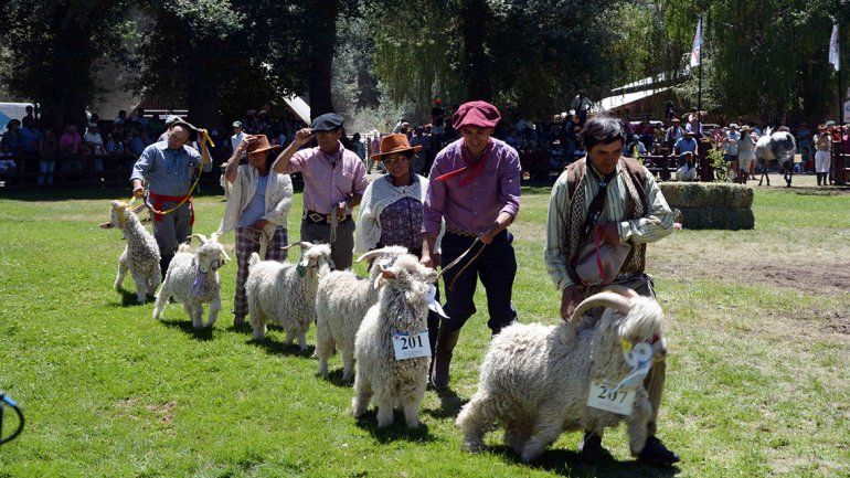 Todo el color de la 77ª edición de la Exposición Rural en Junín de los Andes