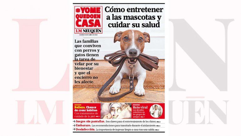Cómo entretener a las mascotas y cuidar su salud