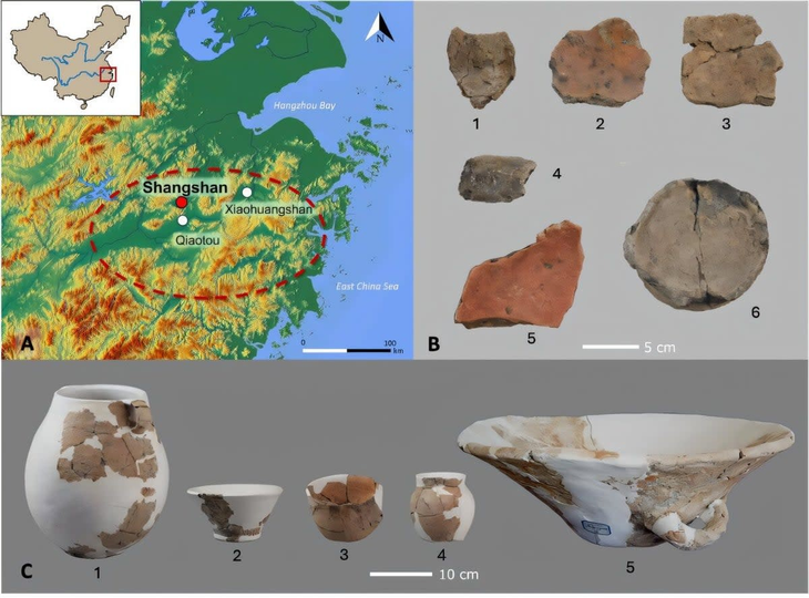 Analizaron 12 fragmentos de cerámica de la fase temprana del sitio de Shangshan. Analizaron 12 fragmentos de cerámica de la fase temprana del sitio de Shangshan.