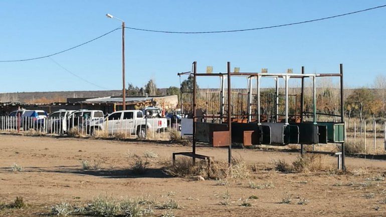 Ocho personas fueron acusados por maltrato animal por organizar carreras de galgos.
