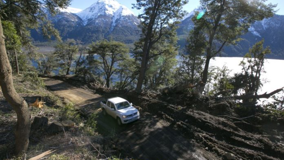 Denuncia contra autoridades de un Parque Nacional por destrucción de un bosque