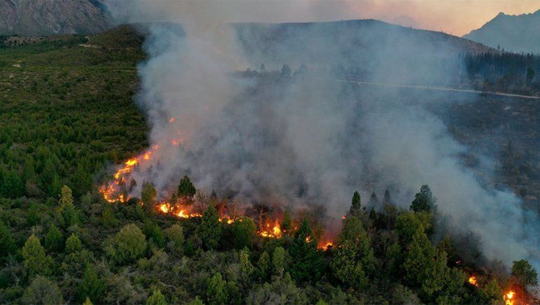 Ambiente avanza en un Plan de Reforestación para zonas afectadas por el fuego