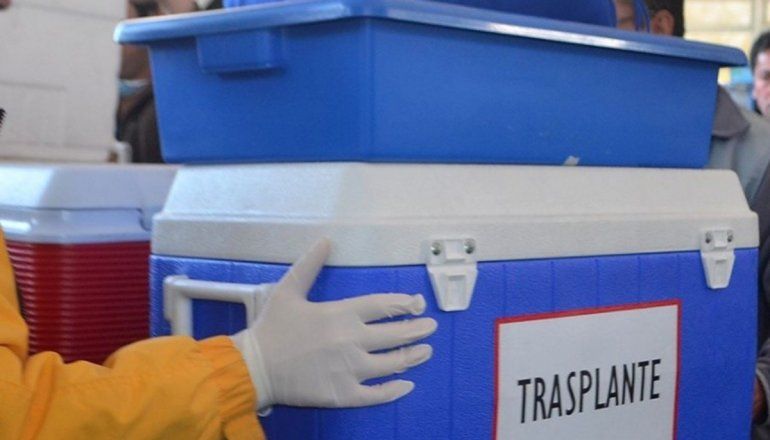 El INCUCAI condenó la propuesta de Milei sobre la venta de órganos