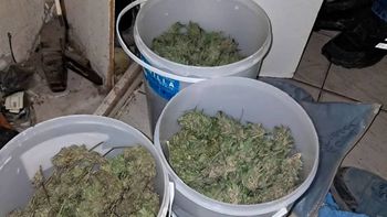 una denuncia anonima por fuertes olores derivo en el secuestro de cinco kilos de marihuana una denuncia anonima por fuertes olores derivo en el secuestro de cinco kilos de marihuana
