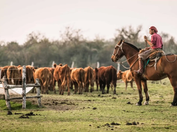Los nuevos aumentos rigen con el salario de septiembre. Los nuevos aumentos rigen con el salario de septiembre.