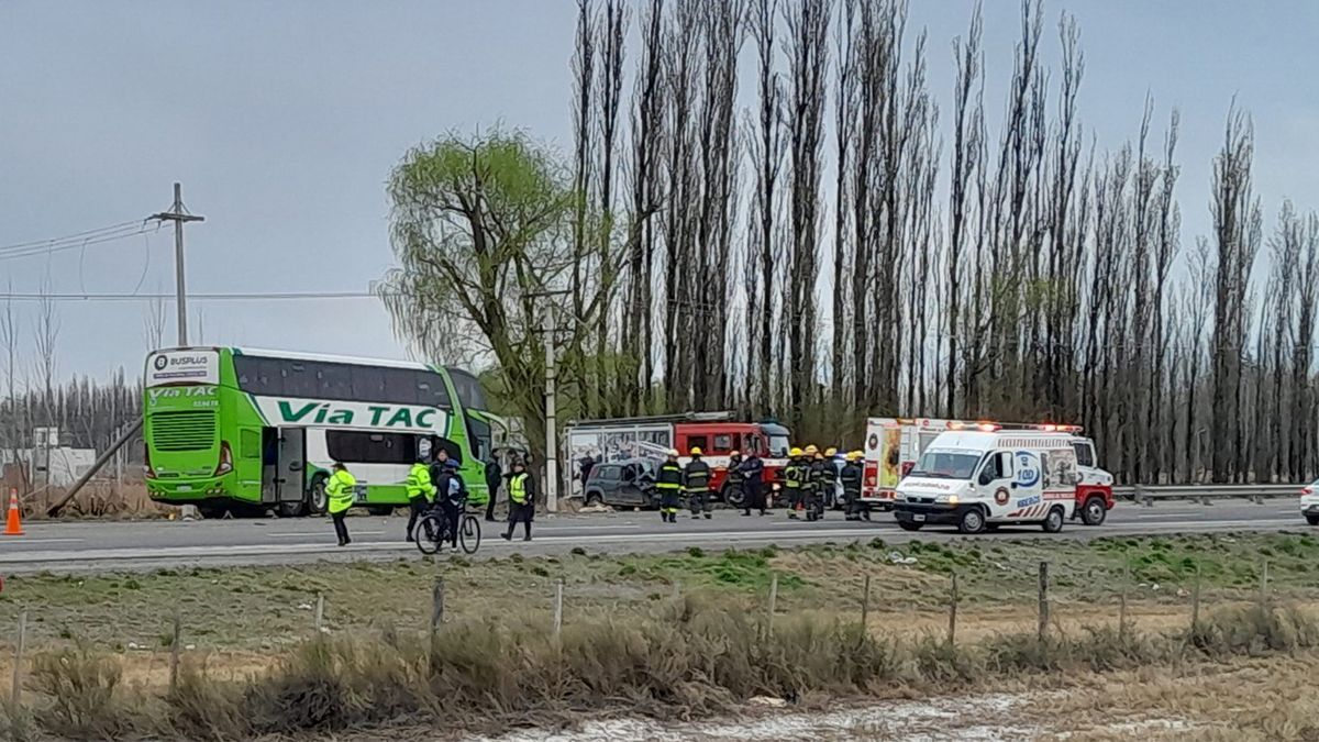 Choque Frontal: Se Conoció La Identidad De La Víctima Y Un Increíble ...