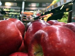 Pese a la recesión económica, crece el mercado interno como destino para la manzana. Pese a la recesión económica, crece el mercado interno como destino para la manzana.