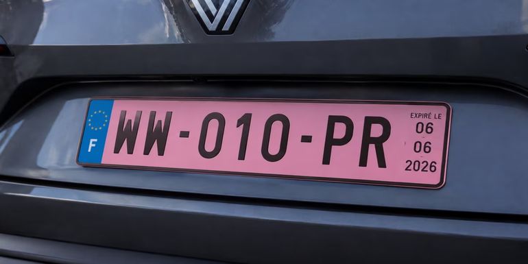 Patentes rosas en los autos: qué país las implementa y en qué contexto