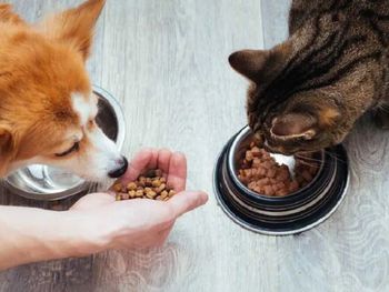 El aumento del gasto no se explica solo por la inflación. También responde a un cambio cultural.