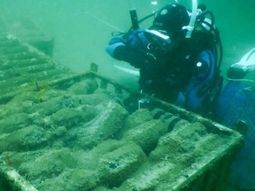 flor del prado: de la cosecha nocturna a la crianza submarina de vinos flor del prado: de la cosecha nocturna a la crianza submarina de vinos