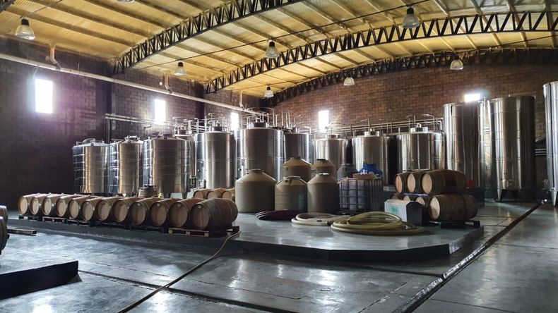 Millonario robo a una bodega en Senillosa