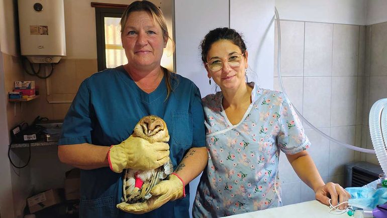 La veterinaria Bárbara Bartolomé junto a su colega Samanta Croatto