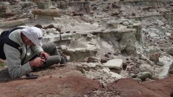 Científicos de la UNPSJB y el Conicet descubrieron más de 7.000 ríos fosilizados en Chubut. Científicos de la UNPSJB y el Conicet descubrieron más de 7.000 ríos fosilizados en Chubut.