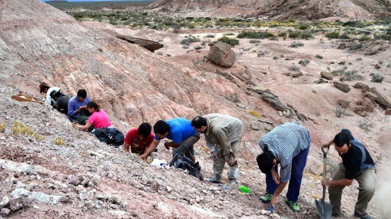 Hallaron los restos de un reptil desconocido