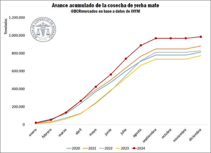 La producción de yerba mate habría marcado un récord en el año 2024. Fuente: Bolsa de Comercio de Rosario. La producción de yerba mate habría marcado un récord en el año 2024. Fuente: Bolsa de Comercio de Rosario.