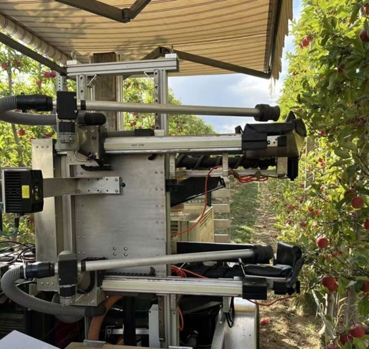 Productores de Estados Unidos apuestan por IA para enfrentar la escasez de trabajadores y mejorar la productividad.