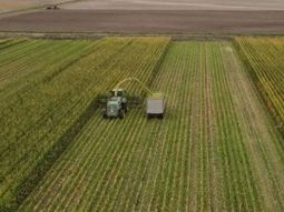 Se llegó a más de 87.000 hectáreas de producción bajo riego. Se llegó a más de 87.000 hectáreas de producción bajo riego.