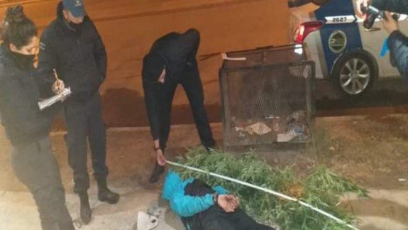 Intentó ocultarse en una garita con dos plantas gigantes de marihuana
