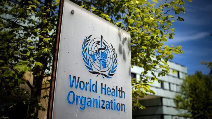 OMS: ¿Qué consecuencias tendrá Argentina tras salir del organismo?
