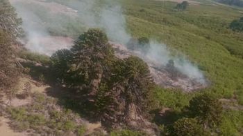 incendios forestales en neuquen: alertan por nuevos focos en valle magdalena y ruca choroi incendios forestales en neuquen: alertan por nuevos focos en valle magdalena y ruca choroi