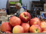 Las compras externas crecieron 43% en 2025, pero representan apenas el 1,2% del consumo total. El foco se desplaza hacia costos internos, tipo de cambio y sostenibilidad del negocio.