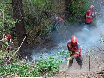 Con el incendio controlado, brigadistas trabajan en Puerto Patriada, Chubut. Con el incendio controlado, brigadistas trabajan en Puerto Patriada, Chubut.