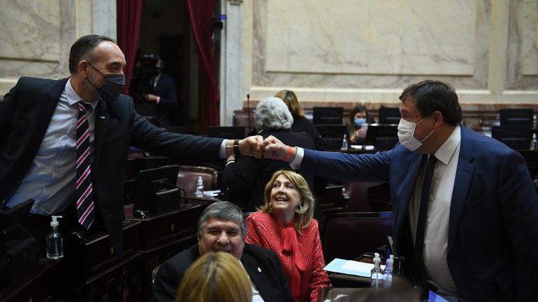 Conflicto mapuche: el Senado aprobó la prórroga de la emergencia territorial indígena