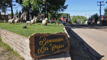 las ovejas elige intendente en el ultimo test del ano en neuquen las ovejas elige intendente en el ultimo test del ano en neuquen