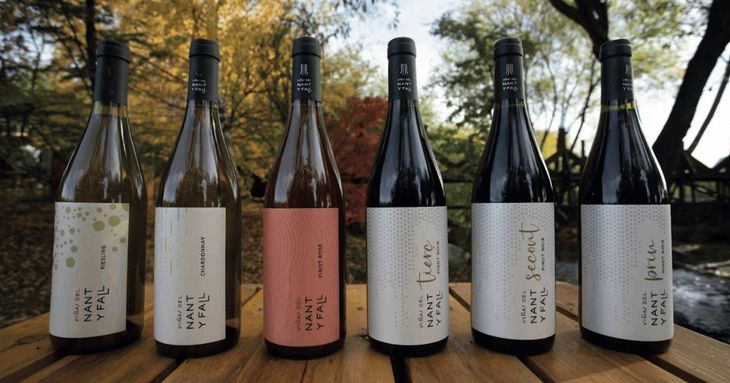 Precio exclusivo: Cada botella de la producción se vende hoy en la bodega por unos 55.000 pesos. Precio exclusivo: Cada botella de la producción se vende hoy en la bodega por unos 55.000 pesos.