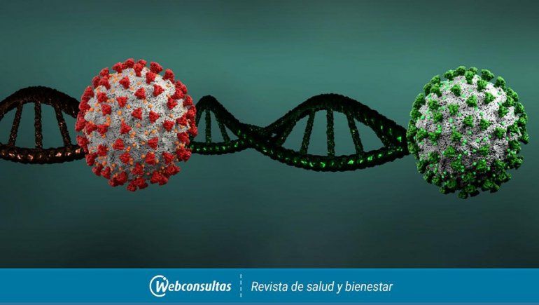 Confirman que la nueva mutación del coronavirus ya es local en Argentina.