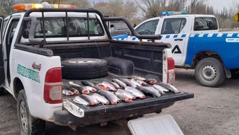 Los operativos son intensos para terminar con la pesca furtiva. Los operativos son intensos para terminar con la pesca furtiva.
