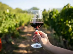 fincas del limay, la bodega boutique en constante crecimiento fincas del limay, la bodega boutique en constante crecimiento