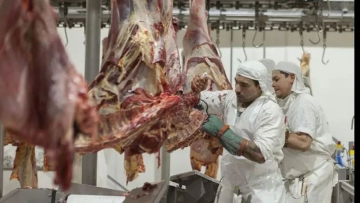 La industria cárnica patagónica muestra señales positivas en 2026, aunque los números revelan la fuerte concentración que domina el negocio frigorífico nacional. La industria cárnica patagónica muestra señales positivas en 2026, aunque los números revelan la fuerte concentración que domina el negocio frigorífico nacional.