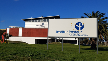 inmunoterapia: un nuevo hallazgo contra el covid inmunoterapia: un nuevo hallazgo contra el covid