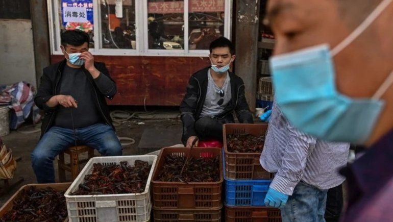 Sugieren que el COVID-19 se habría originado en 2012